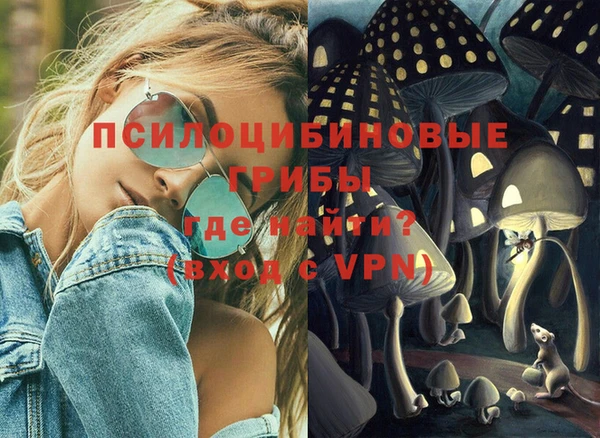 ALPHA PVP Ельня