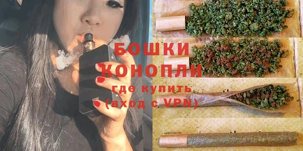 ALPHA PVP Ельня