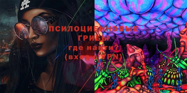 a pvp Елизово